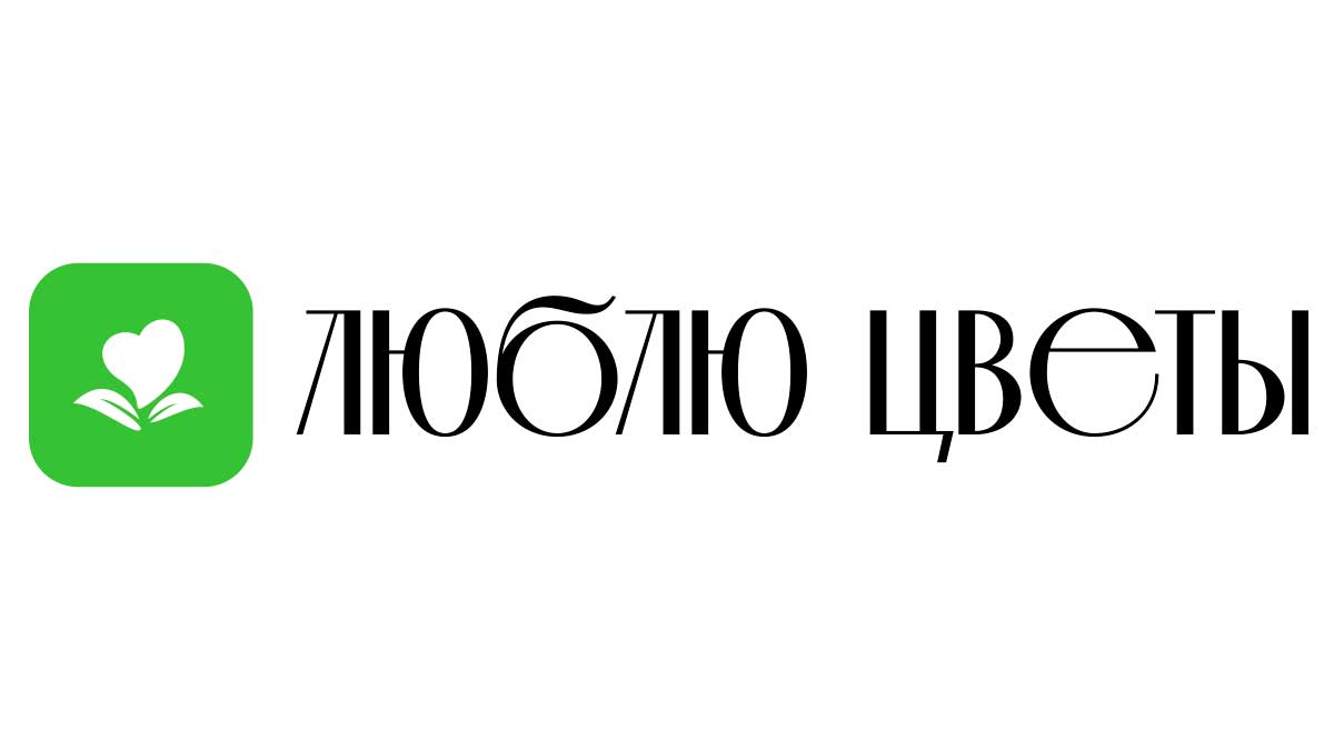 Доставка цветов - Сертолово | Купить цветы и букеты - Недорого -  Круглосуточно | Заказ на дом от интернет-магазина «Люблю цветы»